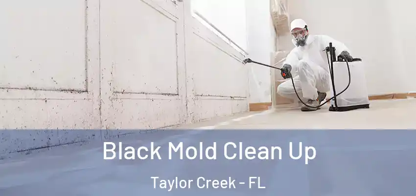  Black Mold Clean Up Taylor Creek - FL