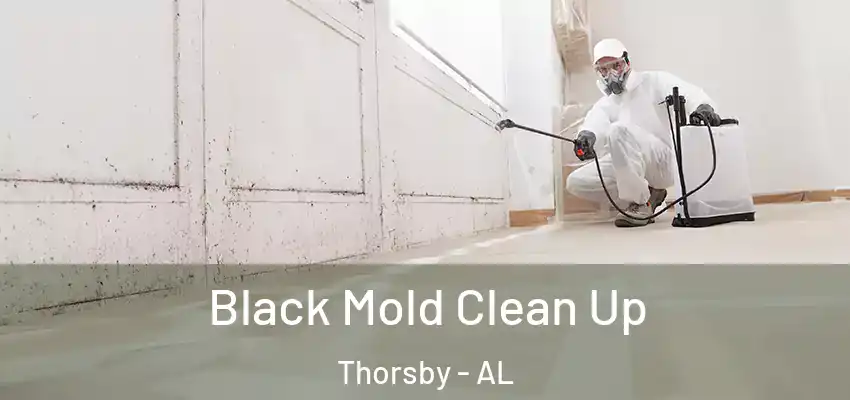  Black Mold Clean Up Thorsby - AL