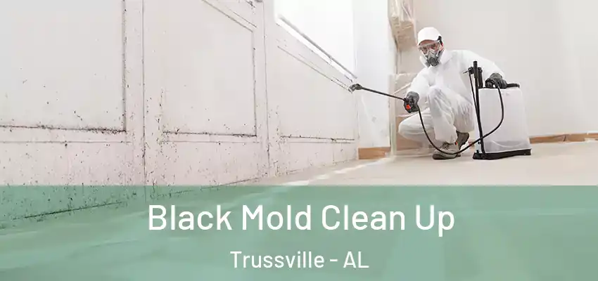  Black Mold Clean Up Trussville - AL