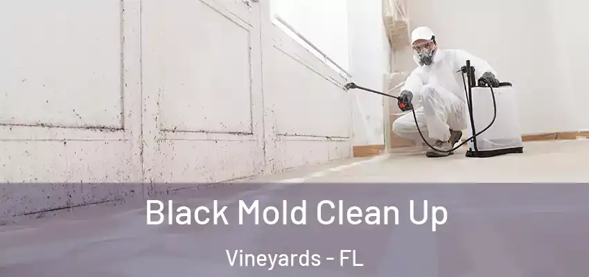 Black Mold Clean Up Vineyards - FL