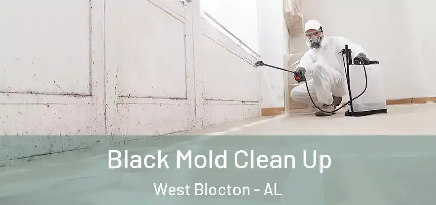  Black Mold Clean Up West Blocton - AL