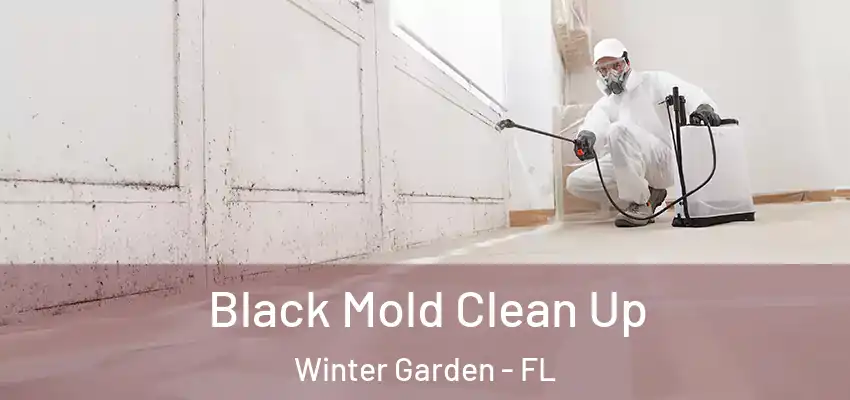  Black Mold Clean Up Winter Garden - FL