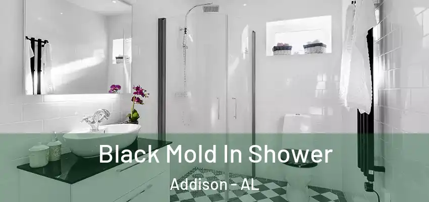  Black Mold In Shower Addison - AL