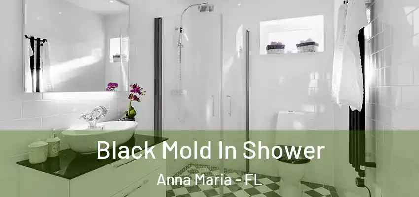 Black Mold In Shower Anna Maria - FL