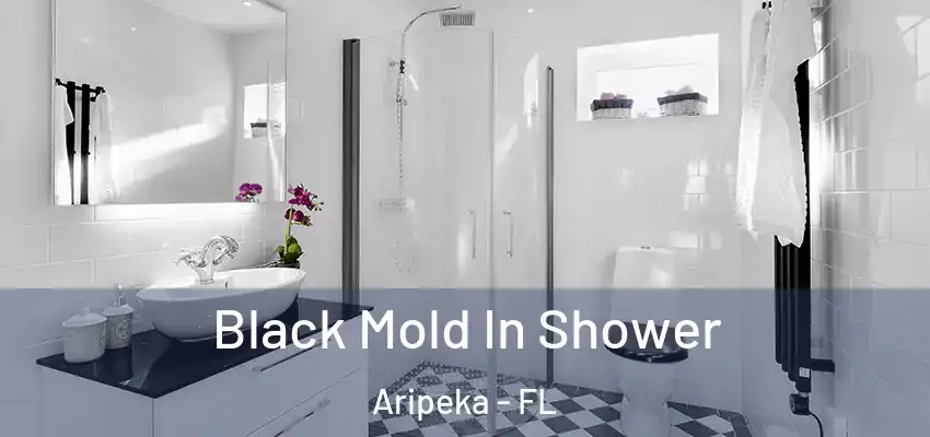  Black Mold In Shower Aripeka - FL