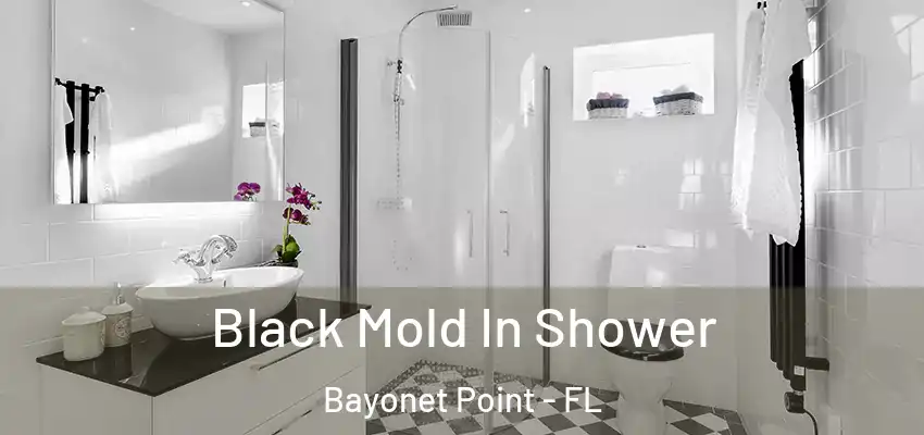  Black Mold In Shower Bayonet Point - FL