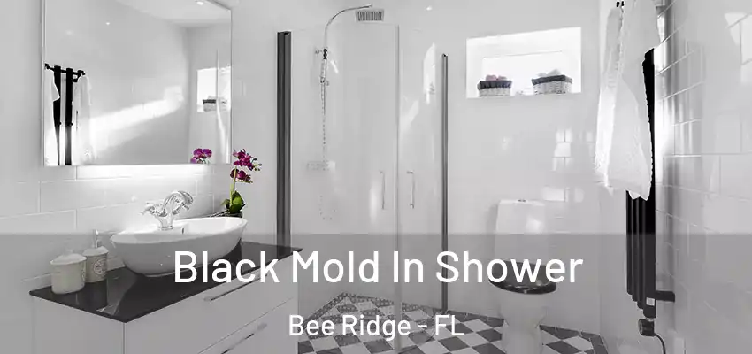  Black Mold In Shower Bee Ridge - FL