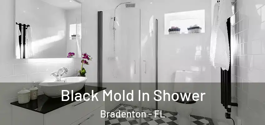  Black Mold In Shower Bradenton - FL
