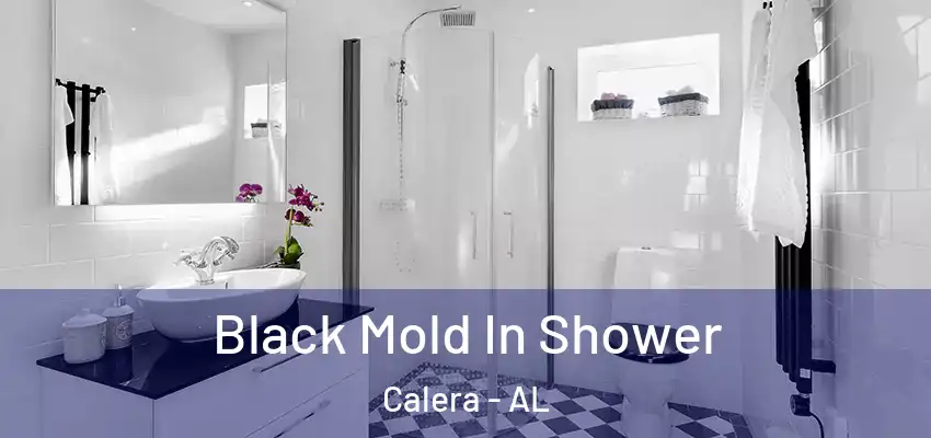  Black Mold In Shower Calera - AL