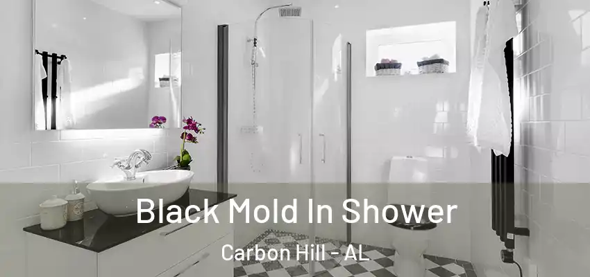  Black Mold In Shower Carbon Hill - AL