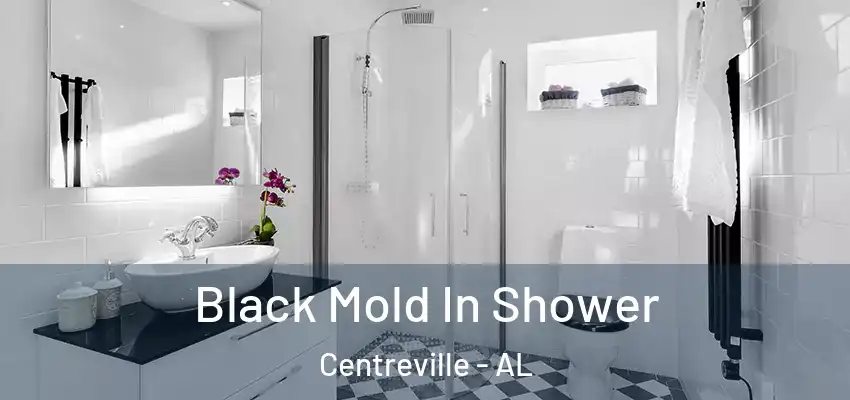 Black Mold In Shower Centreville - AL