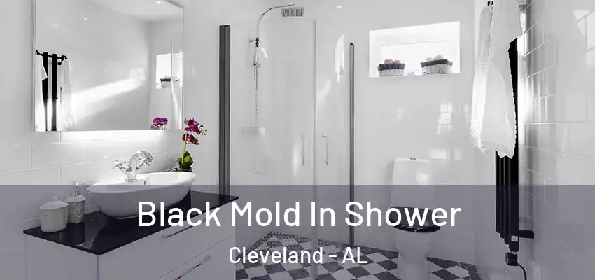Black Mold In Shower Cleveland - AL