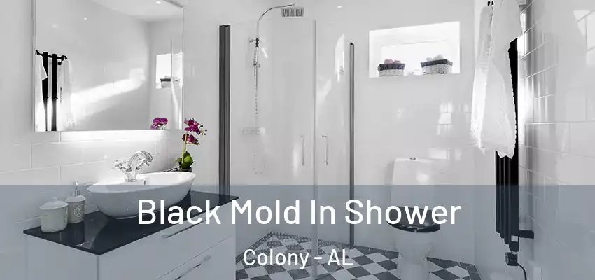 Black Mold In Shower Colony - AL