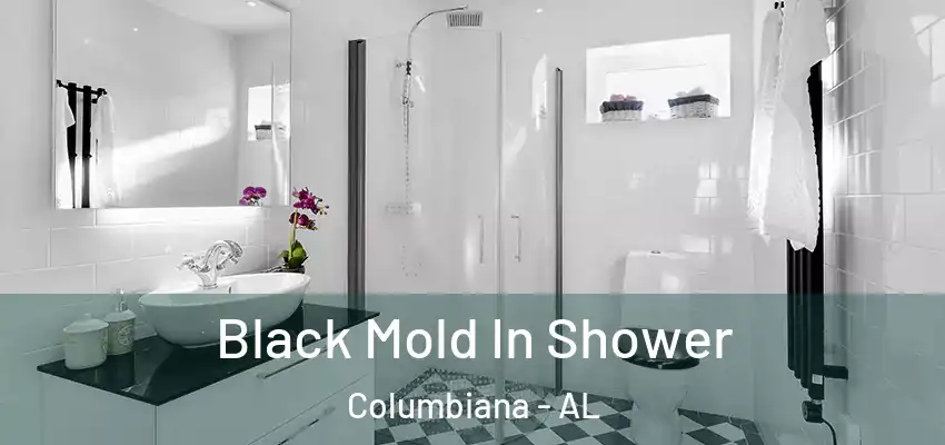  Black Mold In Shower Columbiana - AL