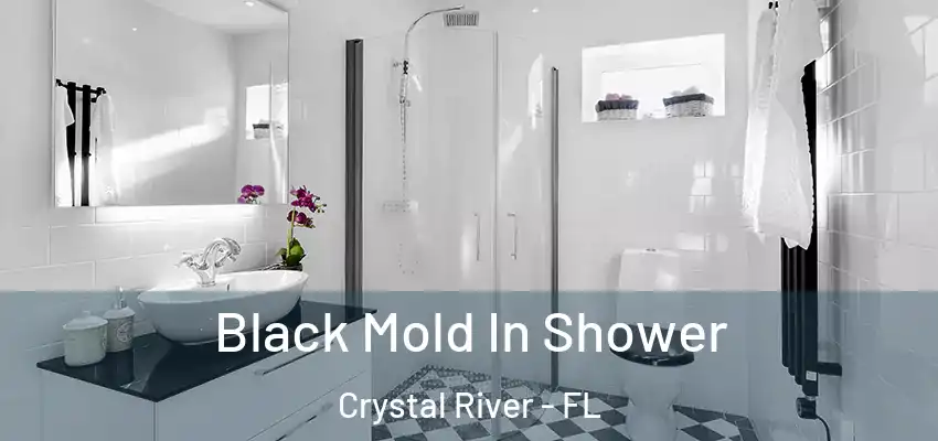  Black Mold In Shower Crystal River - FL