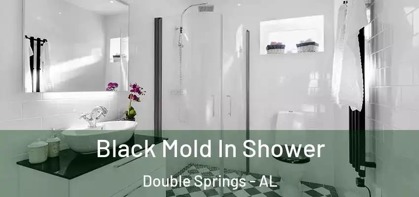 Black Mold In Shower Double Springs - AL