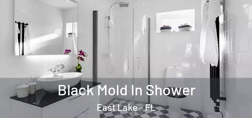  Black Mold In Shower East Lake - FL