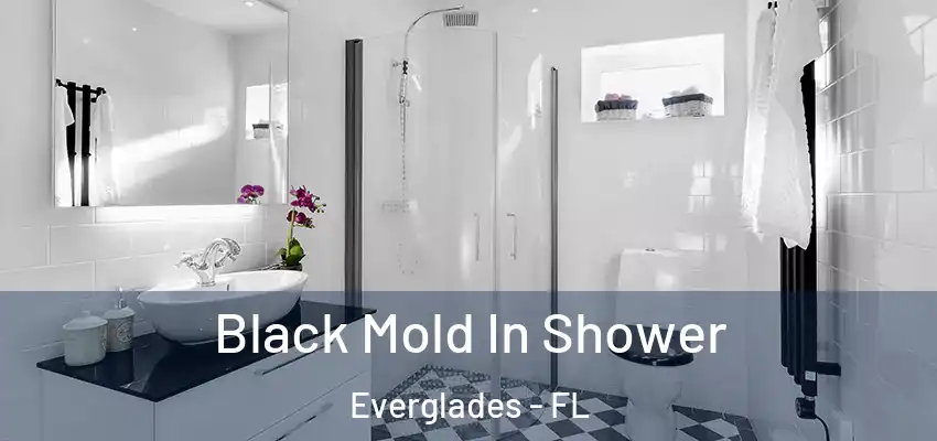  Black Mold In Shower Everglades - FL