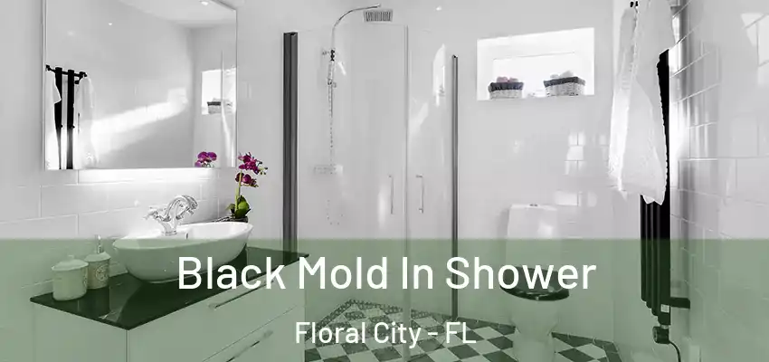  Black Mold In Shower Floral City - FL