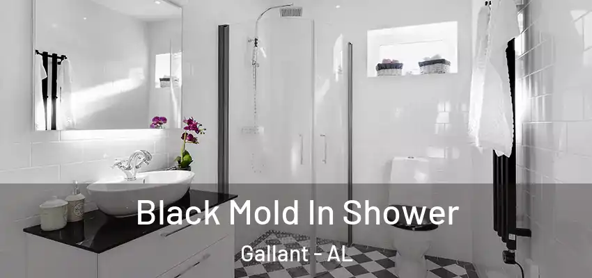  Black Mold In Shower Gallant - AL