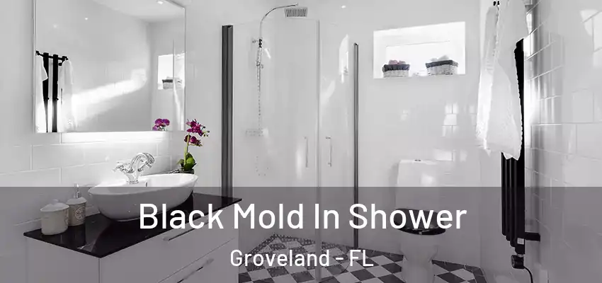 Black Mold In Shower Groveland - FL