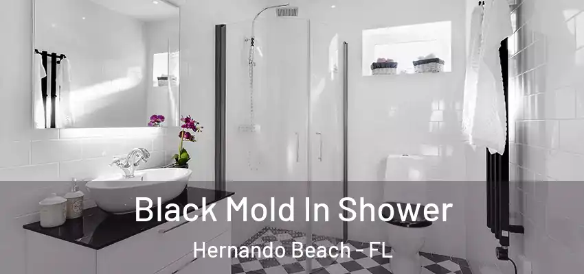 Black Mold In Shower Hernando Beach - FL
