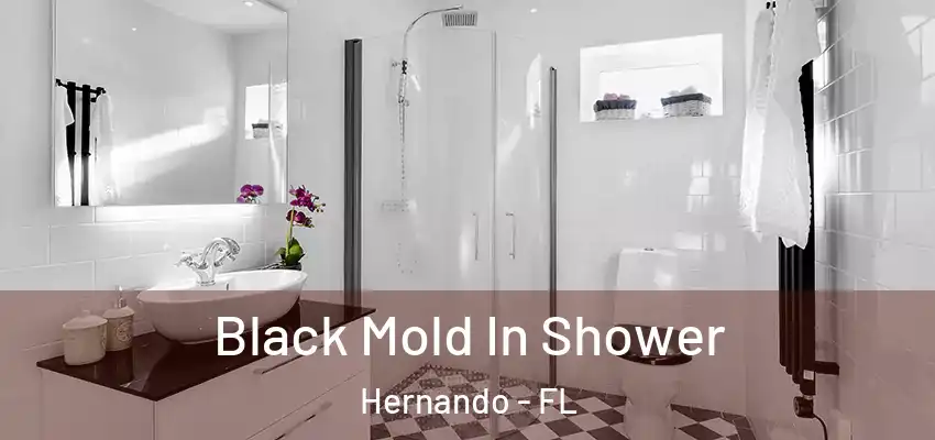 Black Mold In Shower Hernando - FL