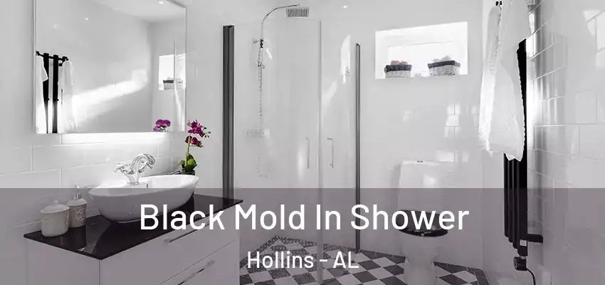  Black Mold In Shower Hollins - AL