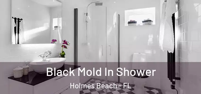  Black Mold In Shower Holmes Beach - FL