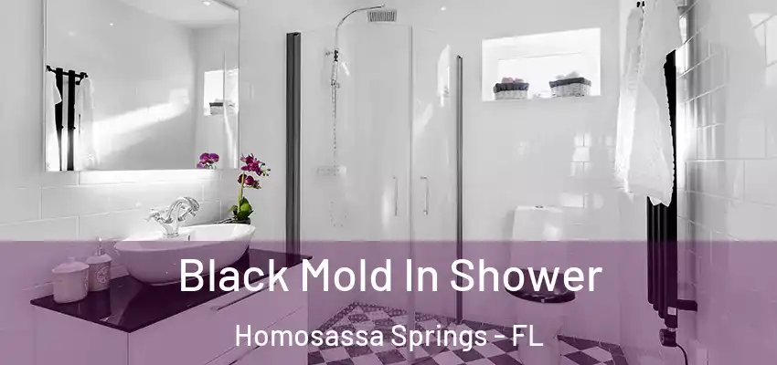  Black Mold In Shower Homosassa Springs - FL