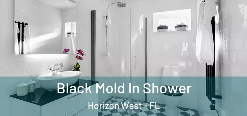 Black Mold In Shower Horizon West - FL