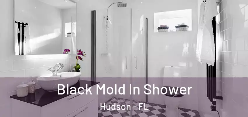  Black Mold In Shower Hudson - FL