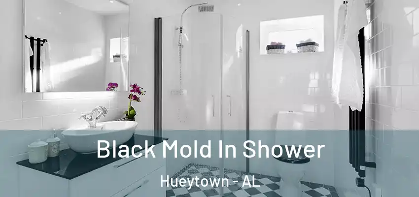  Black Mold In Shower Hueytown - AL