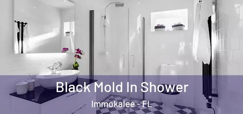  Black Mold In Shower Immokalee - FL