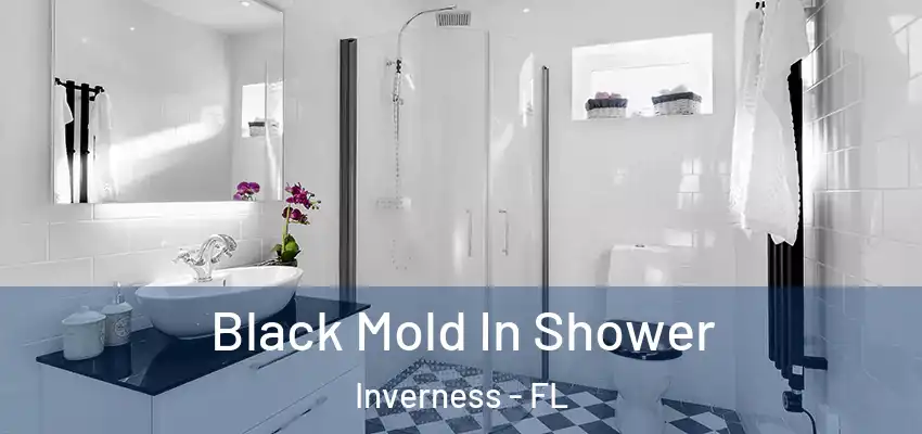  Black Mold In Shower Inverness - FL