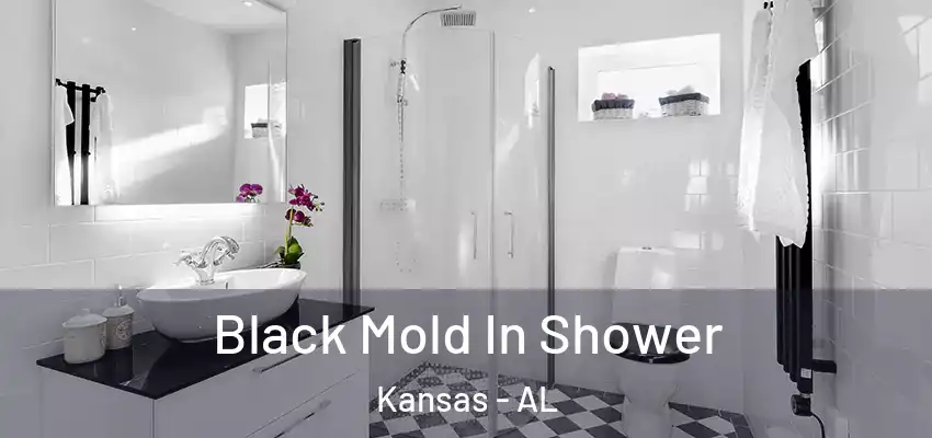  Black Mold In Shower Kansas - AL
