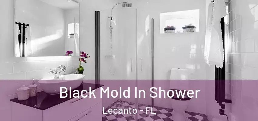  Black Mold In Shower Lecanto - FL