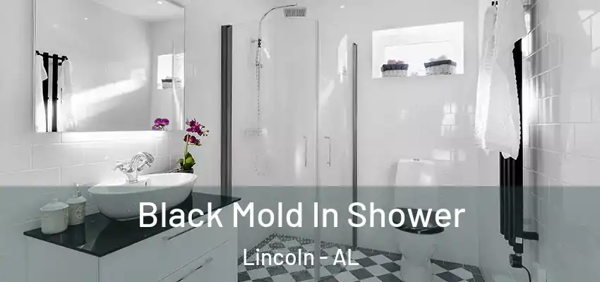  Black Mold In Shower Lincoln - AL