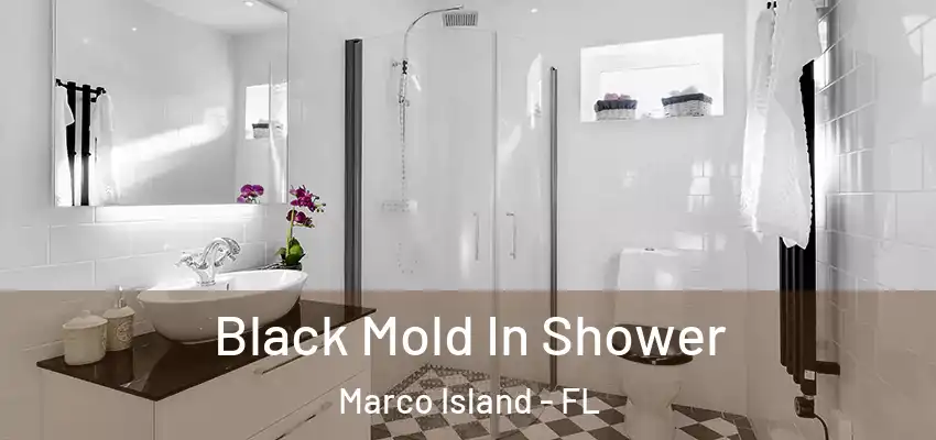 Black Mold In Shower Marco Island - FL