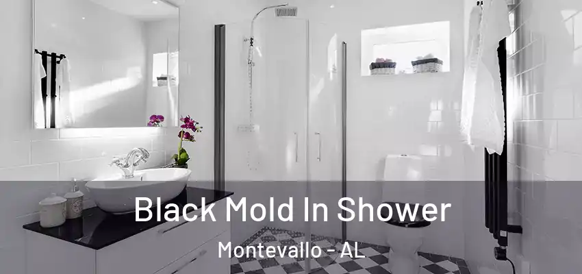  Black Mold In Shower Montevallo - AL
