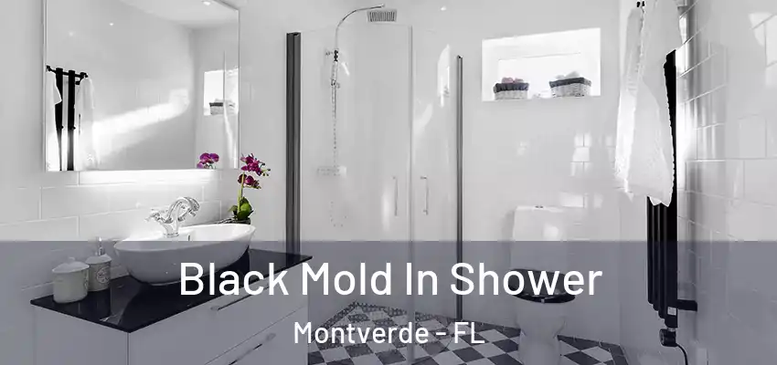  Black Mold In Shower Montverde - FL