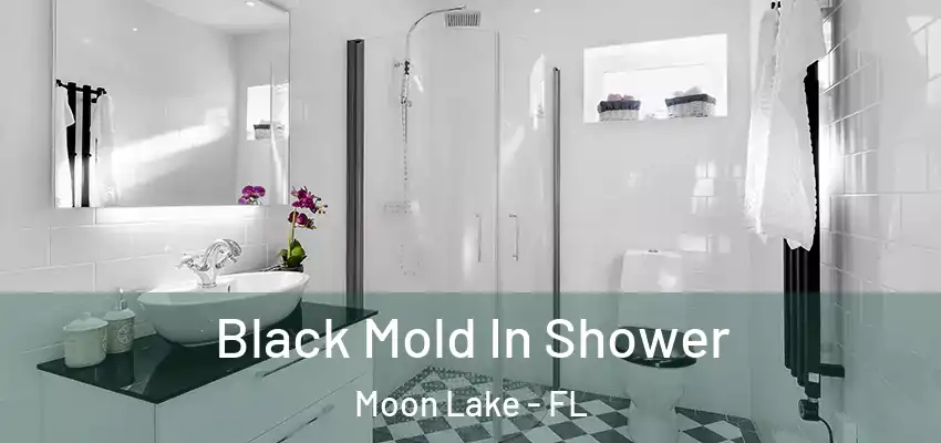 Black Mold In Shower Moon Lake - FL