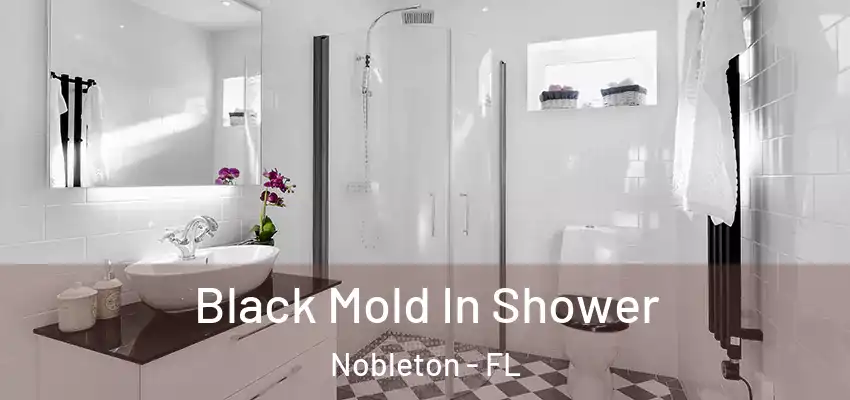  Black Mold In Shower Nobleton - FL