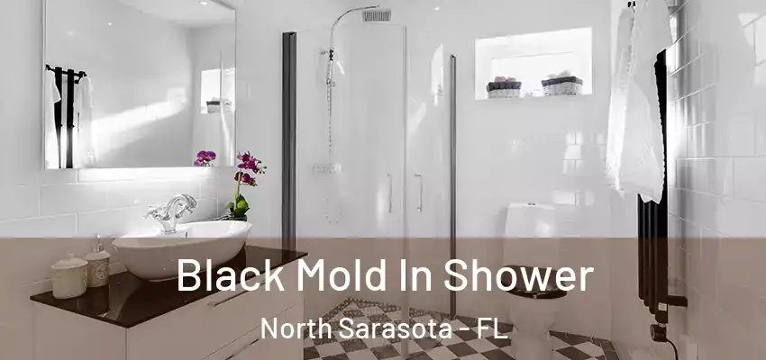 Black Mold In Shower North Sarasota - FL