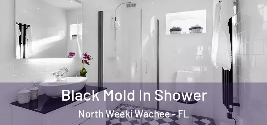 Black Mold In Shower North Weeki Wachee - FL