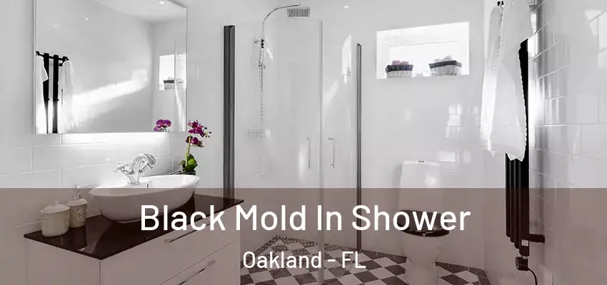  Black Mold In Shower Oakland - FL
