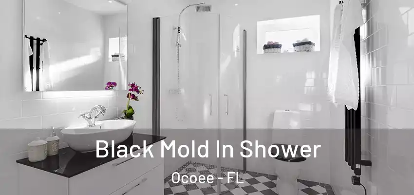  Black Mold In Shower Ocoee - FL