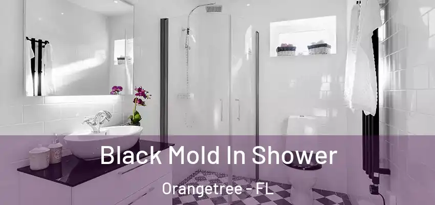  Black Mold In Shower Orangetree - FL