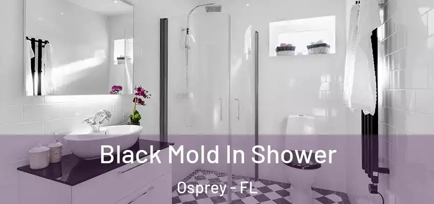  Black Mold In Shower Osprey - FL