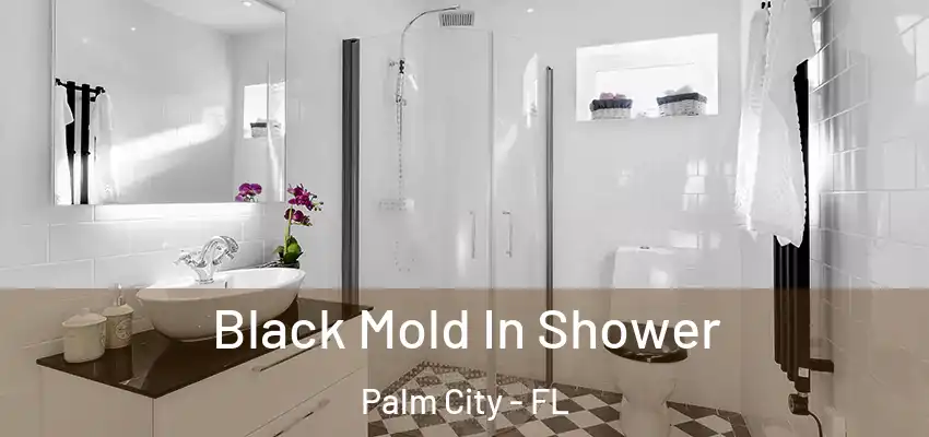  Black Mold In Shower Palm City - FL